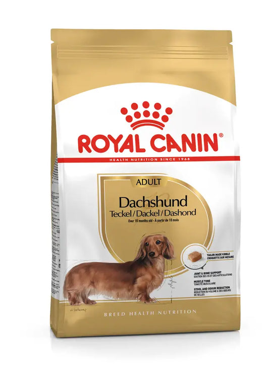 DACHSHUND ADULT