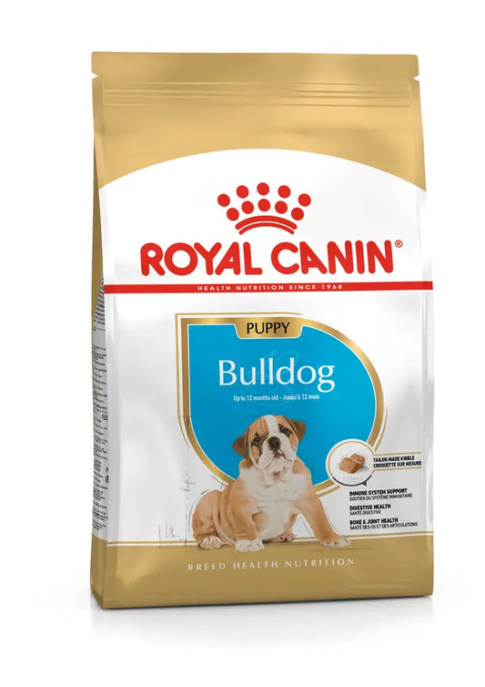 BULLDOG PUPPY