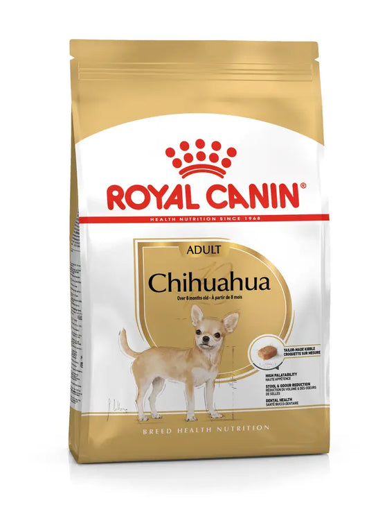 CHIHUAHUA ADULT