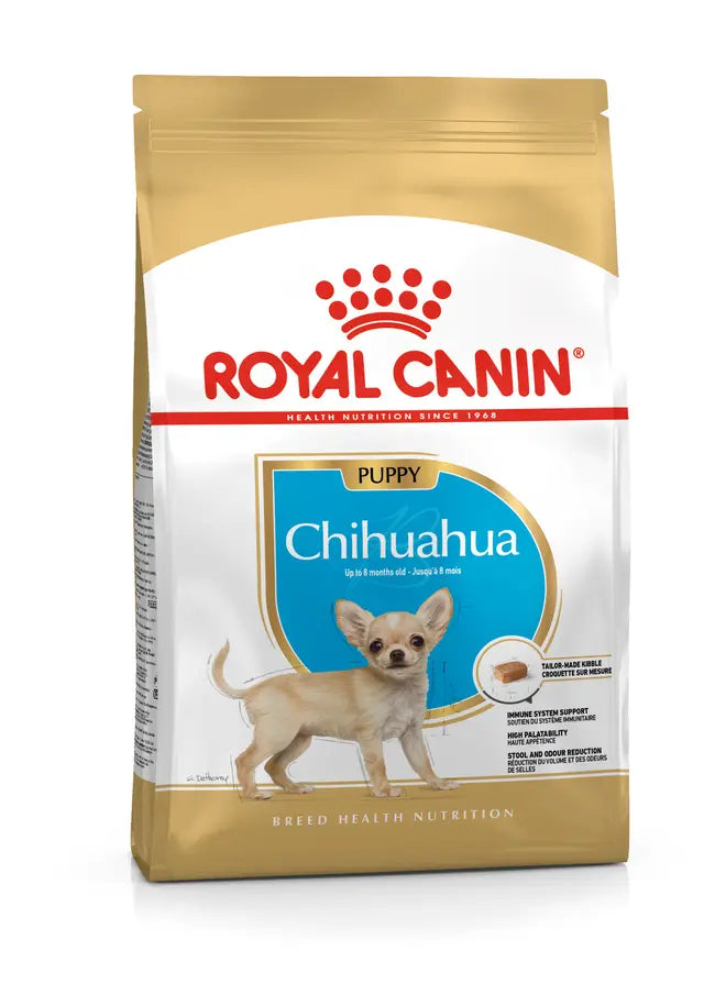 CHIHUAHUA PUPPY