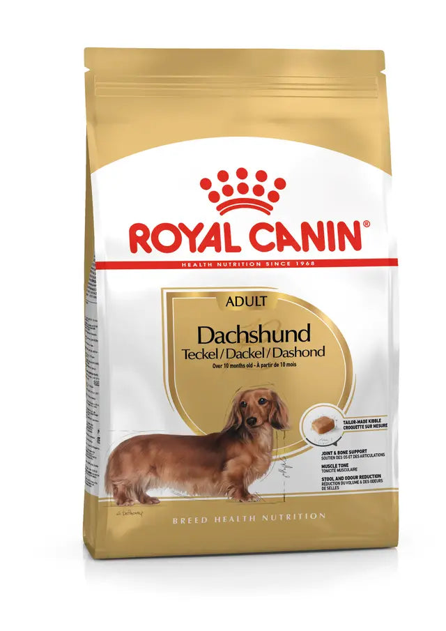 DACHSHUND ADULT