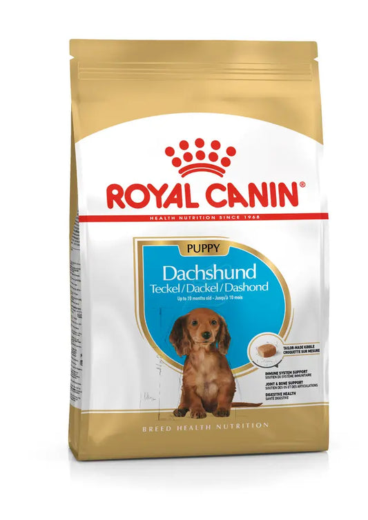 DACHSHUND PUPPY