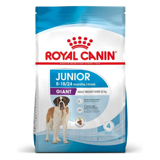 GIANT JUNIOR