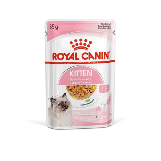 KITTEN GRAVY