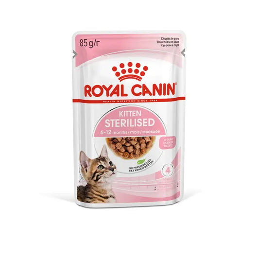 KITTEN STERIL