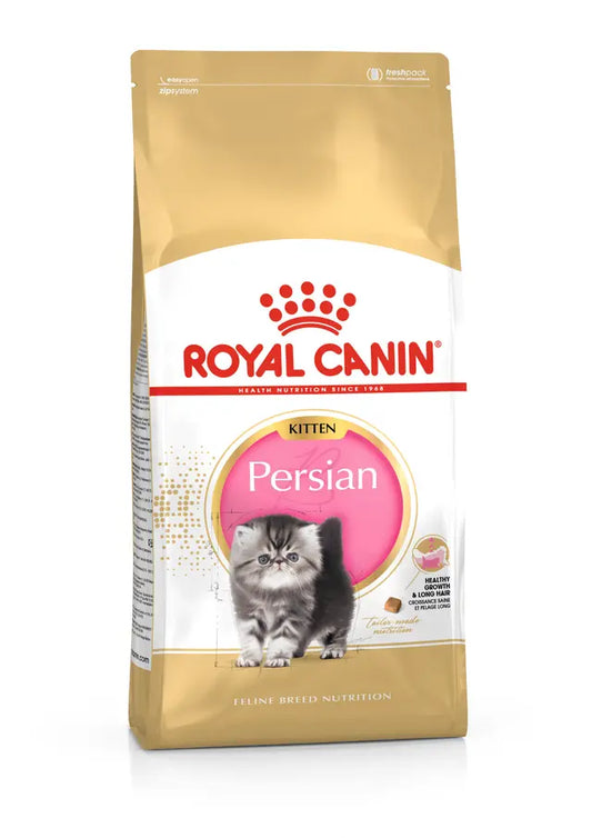 PERSIAN KITTEN