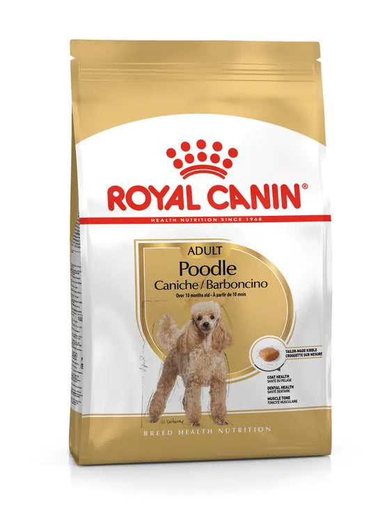 POODLE ADULT