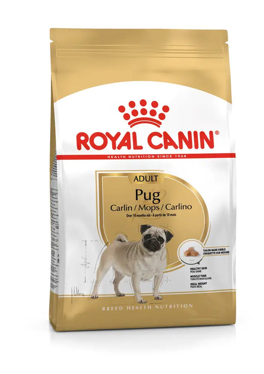 PUG ADULT