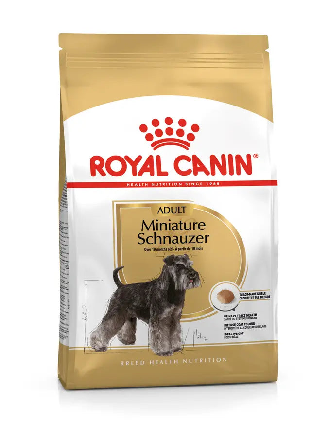 SCHNAUZER ADULT