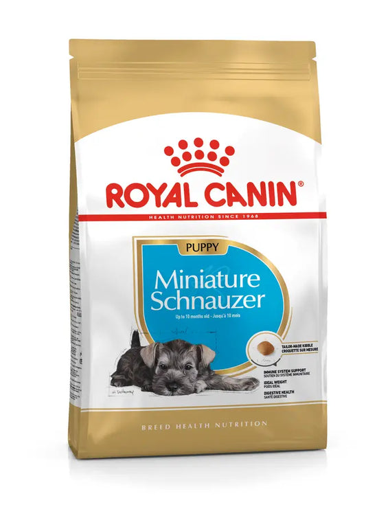 SCHNAUZER PUPPY