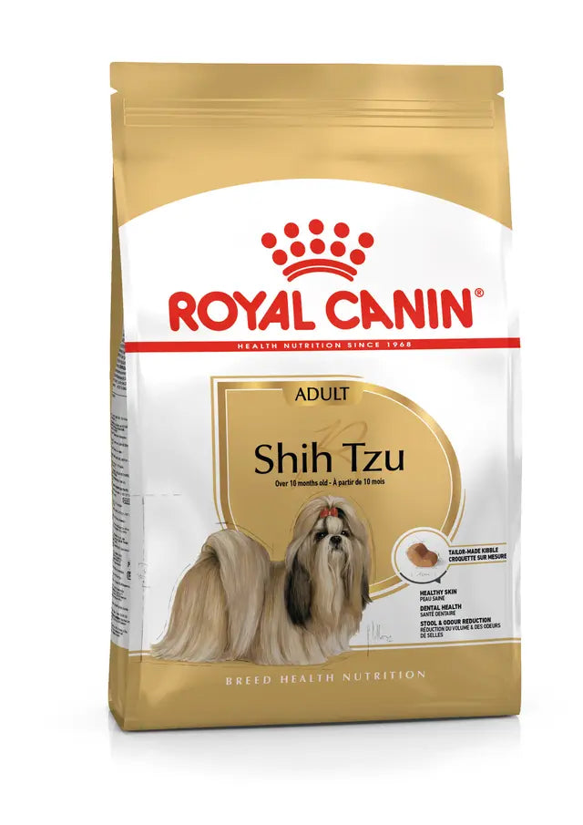 SHIH TZU ADULT