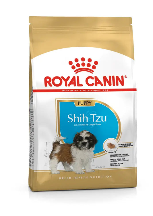 SHIH TZU PUPPY