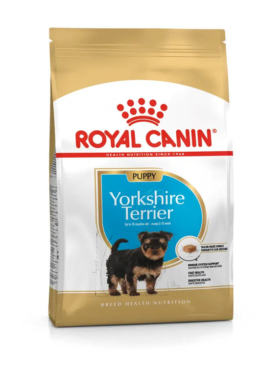 YORKSHIRE PUPPY